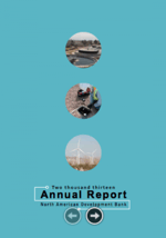 2013 Annual Report