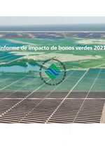 Impact Report 2021